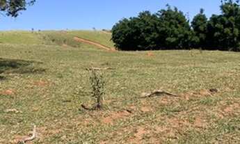 Imagem 6: VENDE-SE TERRENO EM ATIBAIA COM AMPLO ESPAÇO PARA CONSTRUÇÃO DO SEU IMÓVEL