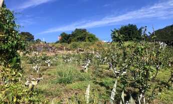 Imagem 4: área - Vila Saltinho - Campinas