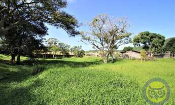 Imagem: FLORIANóPOLIS - Terreno Padrão - Vargem