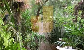 Imagem 2: PARTEMENTO 1 DORMITÓRIO 1 SALA 1 BANHEIRO SEM VAGA