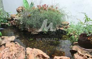 Imagem 6: Casa (térrea na rua) 5 dormitórios/suite, cozinha planejada