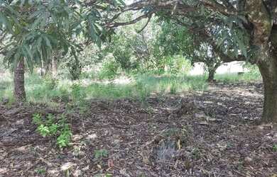 Imagem 5: Duas ch?caras emendadas no Lago Oeste