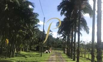 Imagem 4: GARUVA - Terreno Padrão - Baraharas