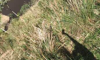 Imagem 3: Vendo terreno em igarata proximo ao centro