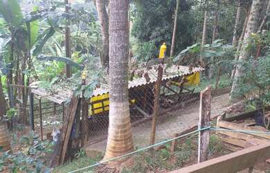 Imagem 6: Chácara 02 dorms com 2032m² (Água Soca