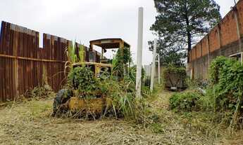 Imagem 5: Terreno - Vila Proost de Souza - Campinas