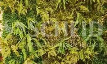 Imagem 7: Excelente Apartamento no Ipiranga