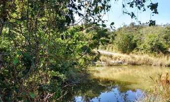 Imagem 5: Terreno de 6000 metros com lagoa