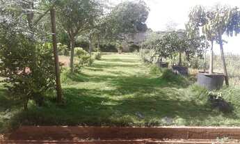 Imagem 2: Excelente área de 500 metros quadrados