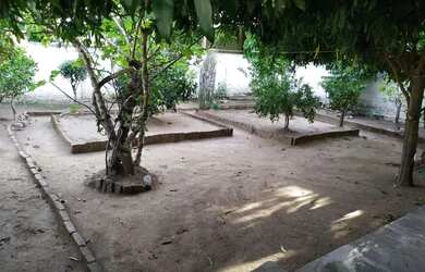 Imagem 6: Casa em Caçapava do sul