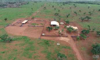 Imagem: Fazenda Para Vender com 1.500 Hectares em