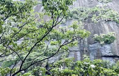 Imagem 2: RUA CINCO DE JULHO-POSTO 4 - COPACABANA/ APTO REFORMADO COM 3 QUARTOS, 2 SUÍTES + DEPENDÊN