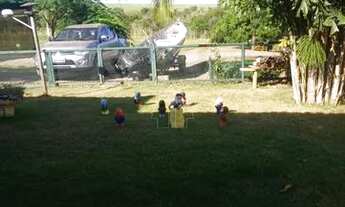 Imagem 2: Araçatuba - Fazenda/Sítio - Residencial Costa Azul