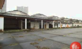 Imagem 7: São Paulo - Terreno Padrão - Lapa