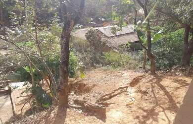 Imagem 2: Casa com lote grande