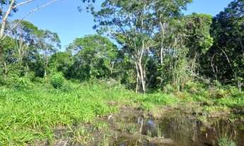 Imagem 3: Terreno Grande em Balneário Barra do Sul