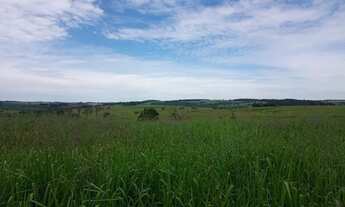 Imagem 5: Fazenda a venda em Morrinhos Goiás!!!