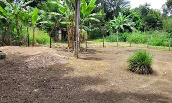 Imagem 3: Aluga-se uma casa