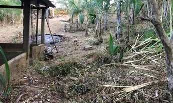 Imagem 6: Fazenda de 6 alqueires no caxambu