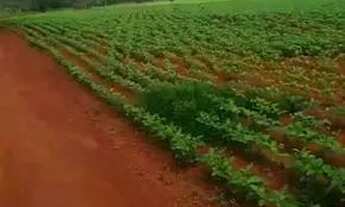 Imagem: Fazenda a venda em Palmelo Goiás!!!