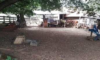 Imagem 7: Sítio 4.8 há Chácara com venda por R$590.000