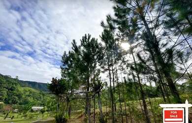 Imagem 3: Fazenda/Sítio/Chácara para venda com 24 mil metros quadrados, tem Lagos, Tirolesa, casa