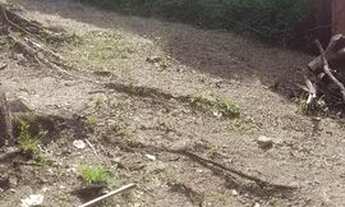 Imagem 5: Vende está casa 35 mil