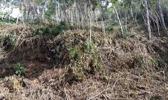 Imagem 4: Terreno legalizado em Itaipava