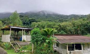 Imagem 2: Chácara 8 mil metros Campina grande do sul