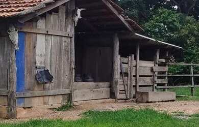 Imagem: Fazenda em Goiás velho