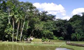 Imagem 4: Sítio em São Roque, bairro Mailasqui