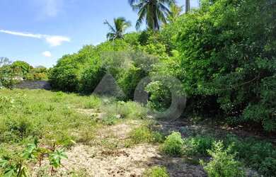 Imagem 5: Terreno Financiável em Área em Expansão Para Venda no Mosqueiro