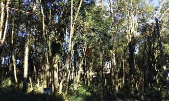 Imagem 2: Terreno à Venda no bairro Floresta em Gramado!