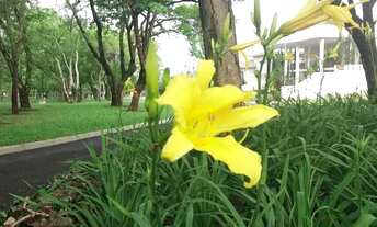 Imagem 4: Terreno Condomínio Débora Cristina