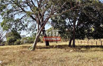 Imagem: Fazenda 86 Alqueires (416 Hectares) Mairipotaba