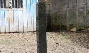 Imagem 2: Vende-se terreno