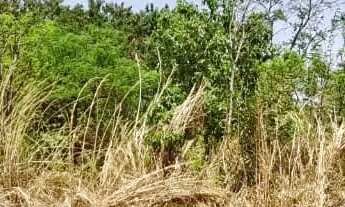 Imagem 4: Lote à venda, 420 m² Jardim Buriti Sereno - Aparecida de Goiânia