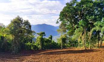 Imagem 5: Sítio / Chácara para Venda em Nova Petrópolis, Arroio Paixão