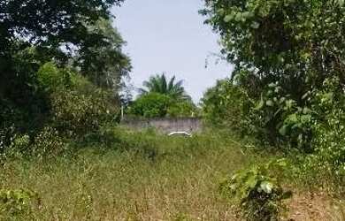 Imagem 6: /Lote em Açutuba com 4000 m2