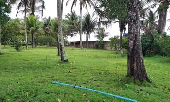 Imagem 5: Vendo Linda Chacara em Limoeiro de Anadia! Tratar com Jackson