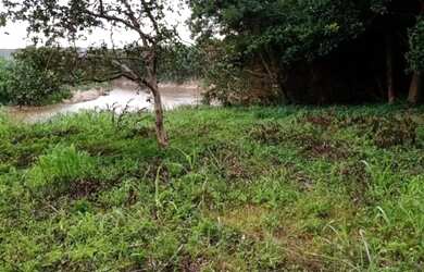 Imagem: Terreno 65.000m², as margens do Rio das