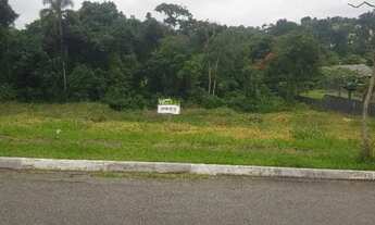 Imagem: SÃO PAULO II - OPORTUNIDADE