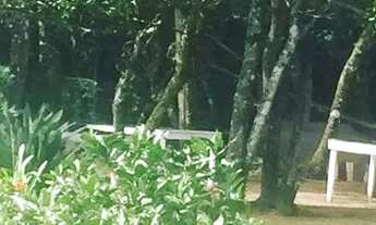 Imagem 3: Belíssimo sítio para locação ?. 3 mil