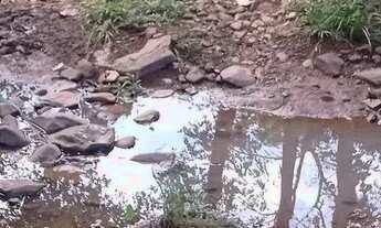 Imagem 7: Fazenda com 28 alqueires documentada casa pastos água terra cultura troca