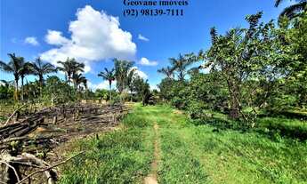 Imagem 6: Fazenda Sítio Chácara Estrada de Janauary KM 13 Ramal Boa Fé Iranduba 22.500m²