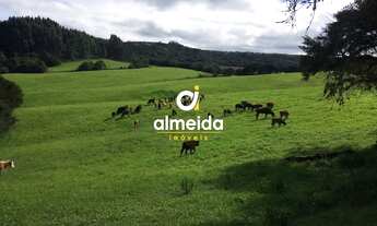 Imagem 4: ÁREA RURAL 580HA EM SANTANA DA BOA VISTA