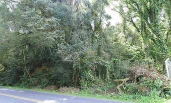 Imagem 5: 3 Lotes sendo dois de 20.000 m² e um de 26.000 m² a partir de R$ 1.500.000 Ferraria Ca