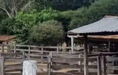 Imagem 7: FAZENDA 30,5 ALQUEIRES, PIRENÓPOLIS