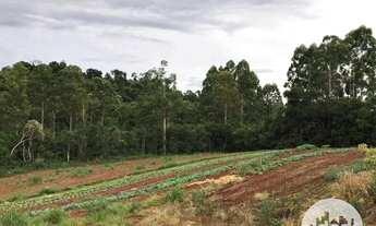 Imagem 6: Terreno à venda, Distrito de São João - Cascavel/Pr