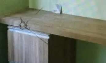 Imagem 3: Apto condomínio turmalinas com proprietário